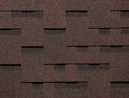 dn_s-genyyazreluy-kashtan111222