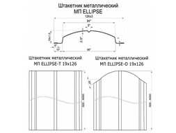dn-s_ellipse222