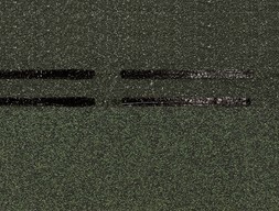 dn-s-zel1