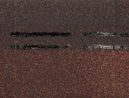 dn-s-korich1