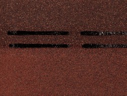dn-s_konek_prem_4