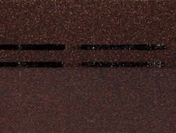 dn-s_konek_prem_19