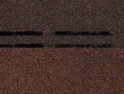 dn-s_konek_prem_3