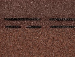 dn-s_konek_prem_10