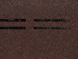 dn-s_konek_prem_8