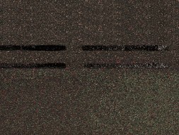 dn-s_konek_prem_2