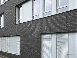 BRIGHTON NFdns2